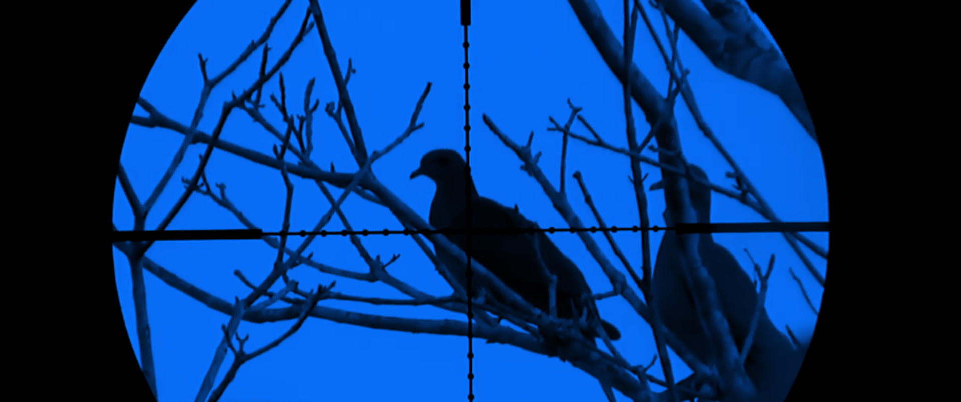 unnamed9.jpg (181 KB)